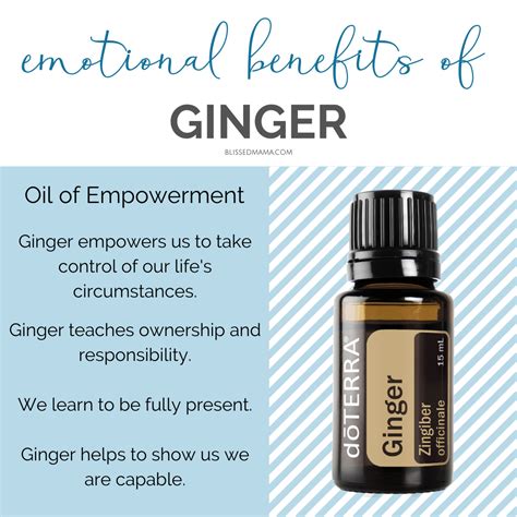 Ginger Essential Oil Benefits Uses And Sourcing With Doterra Co