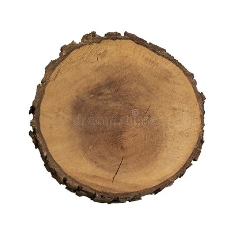 Tranche En Bois Image Stock Image Du Boucles Trunk 48160235