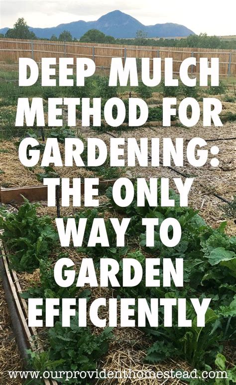 If you're gardening on clay, it also has a major loosening effect over time. Deep Mulch Method For Gardening: The Results | Mulch ...