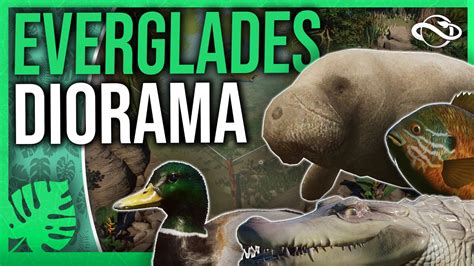 Everglades Diorama Planet Zoo Speedbuild Youtube