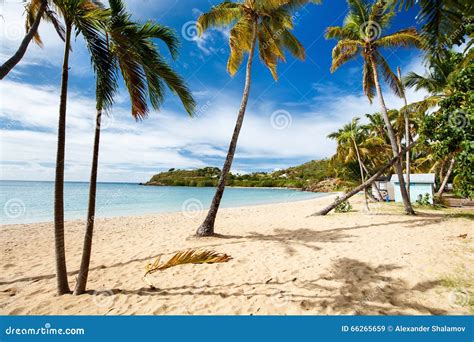 Idyllic Beach At Caribbean Stock Image Image Of Horizon 66265659
