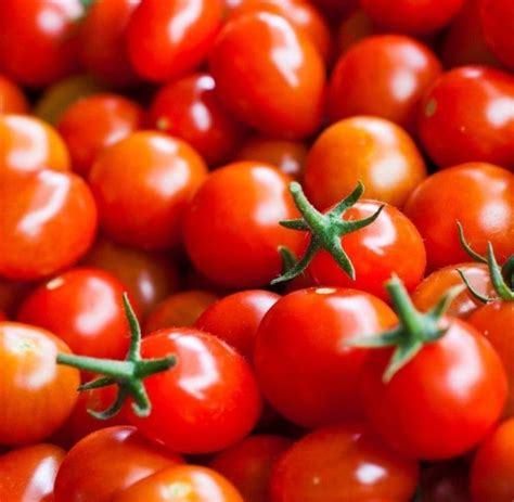 Sweetie Cherry Tomato Seeds Indeterminate Variety Heirloom Etsy In
