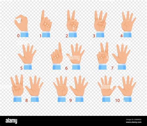 Hand Gestures With Human Thumb And Finger And Palm Isolated Hi Res