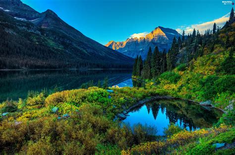 Lake Mountains Vegetation Forest Beautiful Views Wallpapers 2560x1700