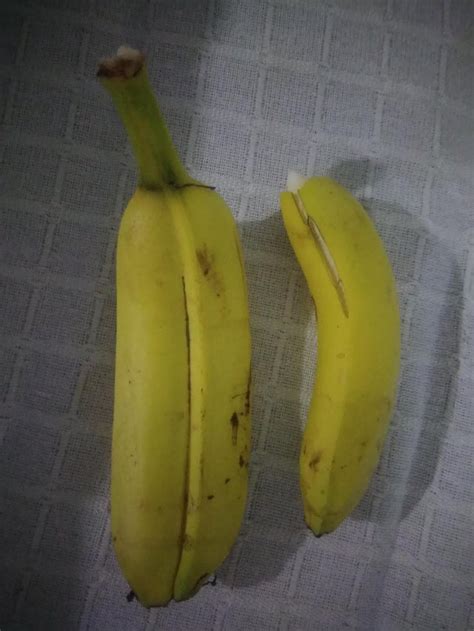 Siamese Banana Vs Regular Banana Rmildlyinteresting