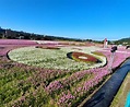 2022桃園花彩節～3.3公頃的花田圖騰＋夜間光雕秀超好拍！