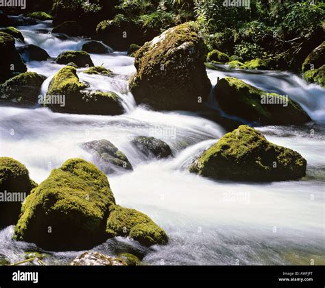 Cascade Stream Moss Hi Res Stock Photography And Images Alamy