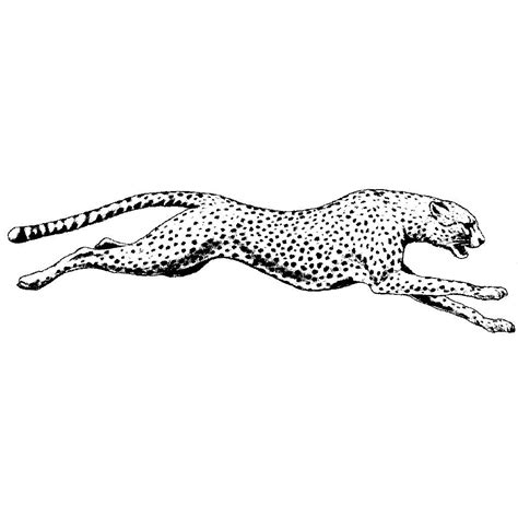 Running Cheetah 1494j Leopard Tattoos Cheetah Tattoo Jaguar Tattoo