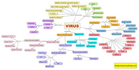 Mind Map Algorithm Classification And Ngram Mindmap M Vrogue Co