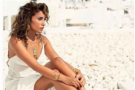 يشار إلى أن الثنائي حتى الآن لم يعلنا حقيقة العلاقة بينهما، إذ لم يثبت زواجهما رسمياً في حين أكّد العديد من المقربين زواجهما. دينا الشربيني ترافق عمرو دياب وتطل بجلسة تصوير جديدة