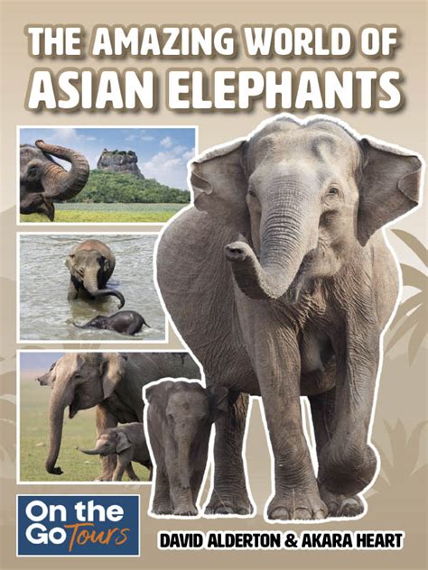 The Amazing World Of Asian Elephants 2022 Download Pdf Magazines
