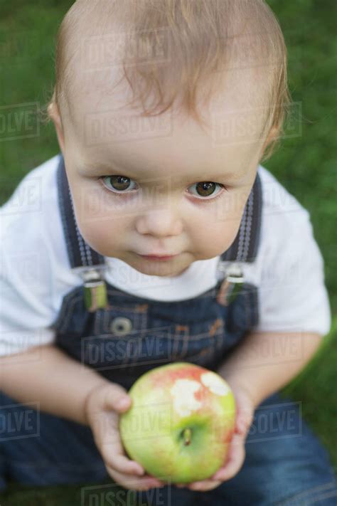 Baby Holding Apple Stock Photo Dissolve