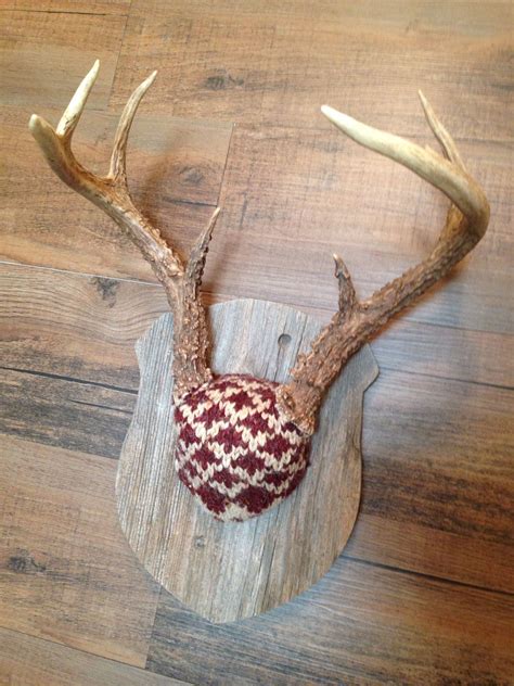 This case preserves taxidermy animals through the ages whilst adding a truly vintage style. Pin by Brett Thompson on My Creations | Deer antler crafts, Antlers decor, Deer horns