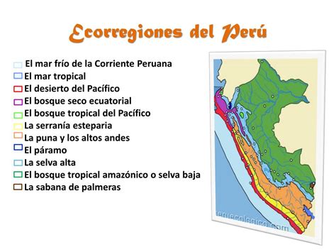 PPT LAS ECORREGIONES DEL PERÚ PowerPoint Presentation free download