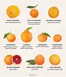10 Types of Oranges for Juicing, Snacking and Everything in Between ...