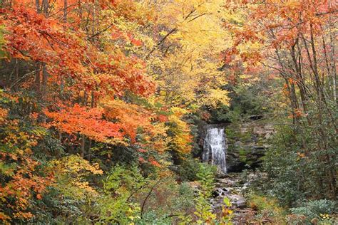 Where To View The Fall Colors At Great Smoky Mountains
