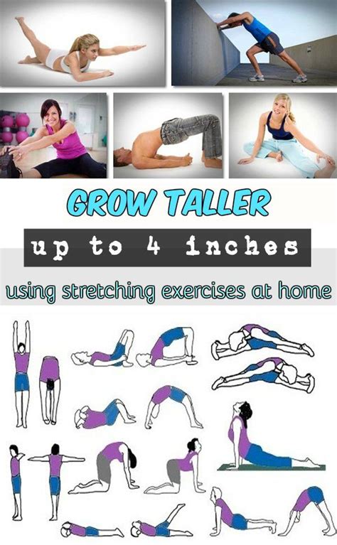 Grow Taller Up To 4 Inches Using Stretching Exercises At Home