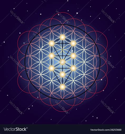 Flower And Tree Life Sacred Geometry On Starry Vector Image