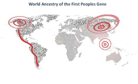 Evolution And Ancestry Dna Mutation Rates Dna Consultants