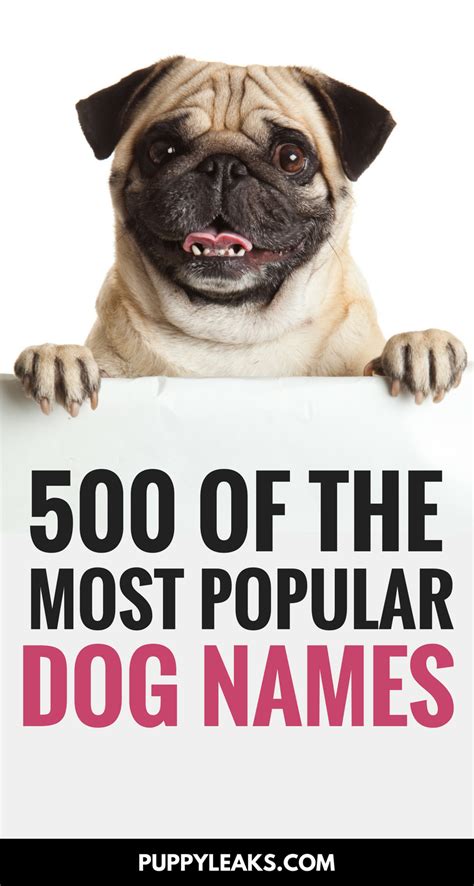 500 Of The Most Popular Dog Names Puppy Leaks