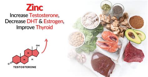 Zinc Increase Testosterone Decrease Dht And Estrogen Improve Thyroid