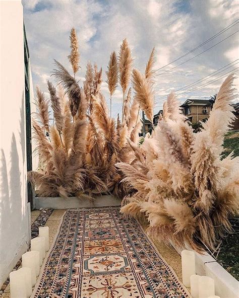 Pampas Grass Decor Ideas Perfect For Any Interior Style Pampas Grass