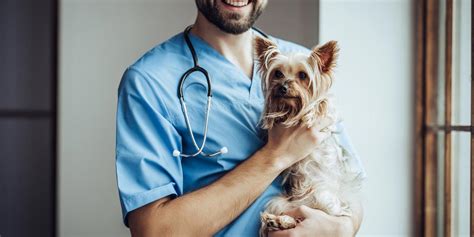 Our top priority is your pet's health and our goal is to provide you an excellent service. McAllen Veterinarian, Pet and Animal Hospital, Veterinary ...