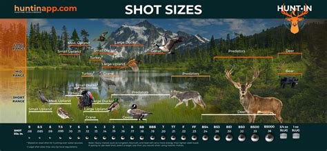 SELECTING THE RIGHT SHOT SIZE FOR YOUR HUNT HUNTIN