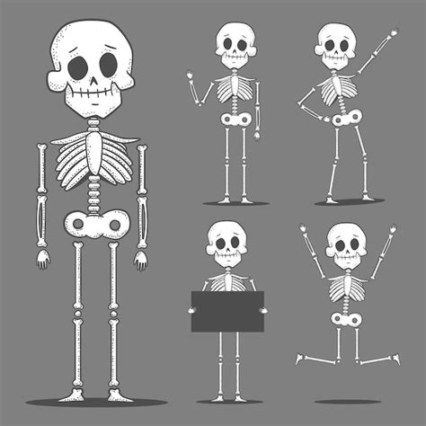 Premium Vector Cute Skeletons Vector Cartoon Characters Set Isolated