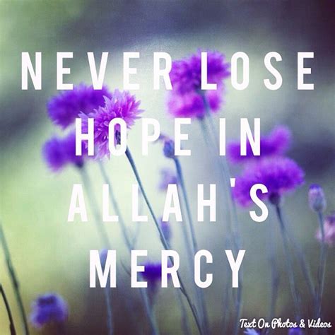 Allah Is The Most Merciful Text On Photo Never Lose Hope Allah