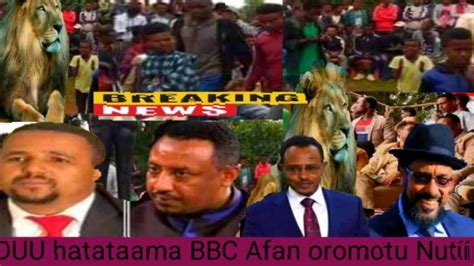 Oduu Hatataama Bbc Afan Oromo Nutiima Youtube