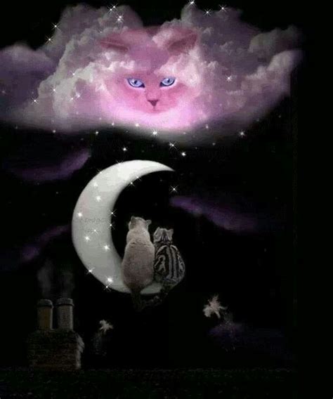  Animé Animated  Gato  Good Night  Beautiful Moon