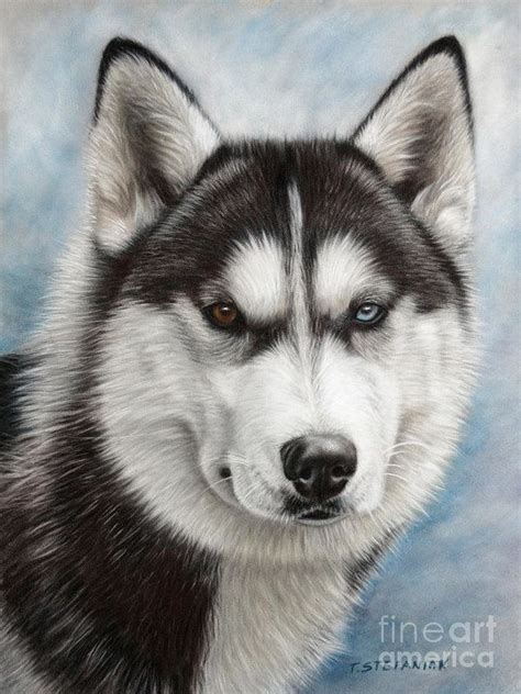Siberian Husky Art Print By Tobiasz Stefaniak In 2021 Dog Art Husky