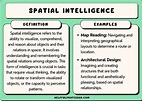 10 Spatial Intelligence Examples, Pros & Cons (2024)