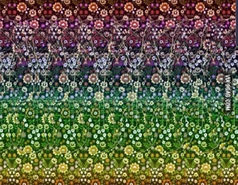 3d Butterfly Magic Eye Pictures Magic Eyes Magic Eye Posters