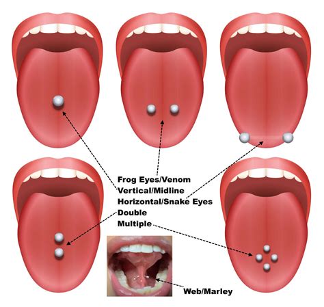 ultimate guide to get a tongue piercing in 2024 piercing zone