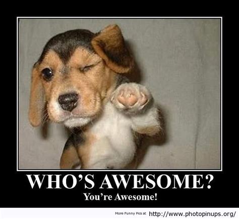 Whos Awesome Your Awesome Photo Pin Ups