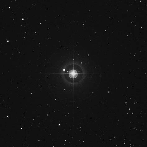 Mira ο Ceti Omicron Ceti Star In Cetus