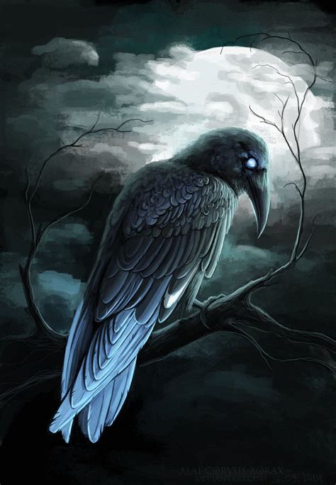 Blue Tailed Raven Raven Artwork Raven Art Raven
