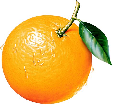 Orange Free Clipart 10 Free Cliparts Download Images On Clipground 2024