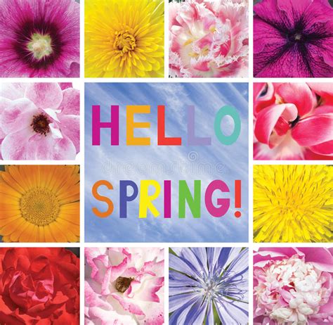 Postcard Flowers Words Spring Greetings Hello Spring Stock