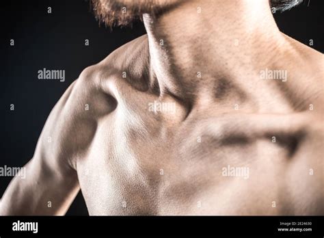 Collarbone High Resolution Stock Photography And Images Alamy