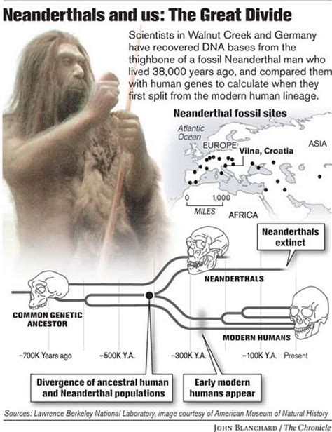 Neanderthals Fossil Yields Bits Of Elusive Dna