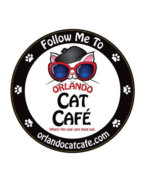 Cat café is a stress free space where cats and humans come along side each other and unwind. Products Archive - orlandocatcafe