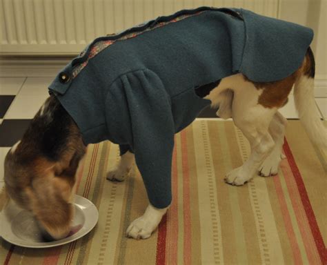 Ausgewählt kein langes suchen mehr. Chihuahuapullover Schnittmuster Nähen : Doggy Hunde Sweater Nach Mass Ebook Pdf Datei ...