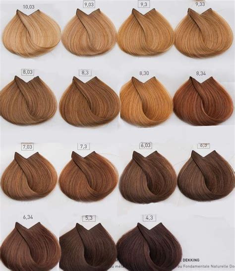 prty gr Βαφή μαλλιών Loreal Majirel Loreal hair color Hair color