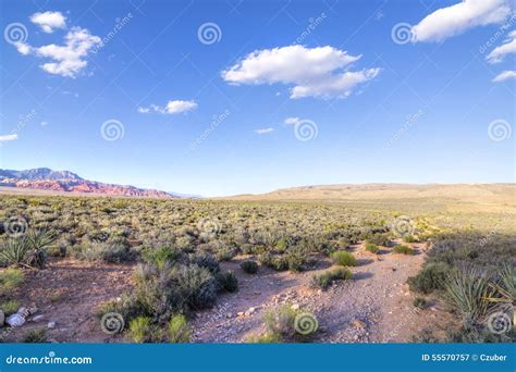 Nevada Desert Landscape And Cloudscape Stock Image Image Of Cactus