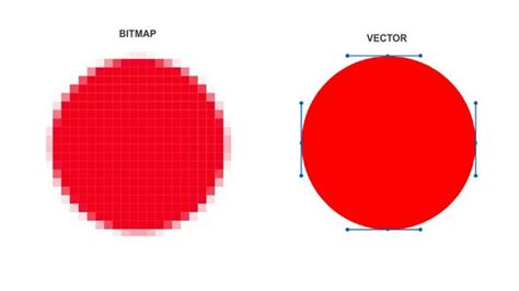 10 Raster Vs Vector Images Bitmap Vs Vector Vector Vs Raster