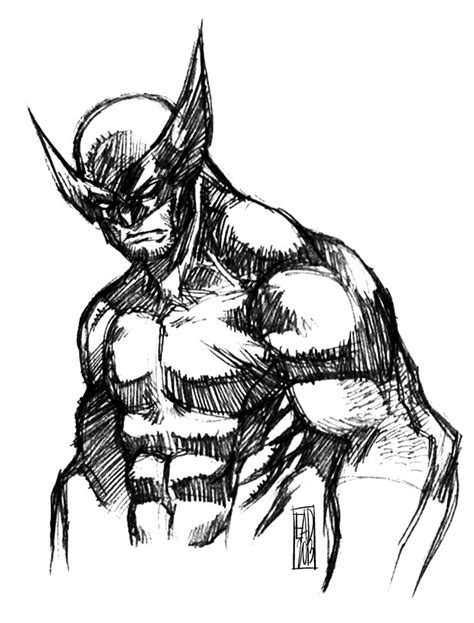 Learn how to draw wolverine animal pictures using these outlines or print just for coloring. Wolverine Animal Easy Sketch Templates