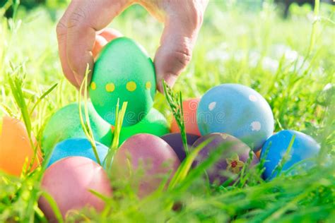 Easter Egg Happy Colorful Easter Sunday Hunt Holiday Decorations